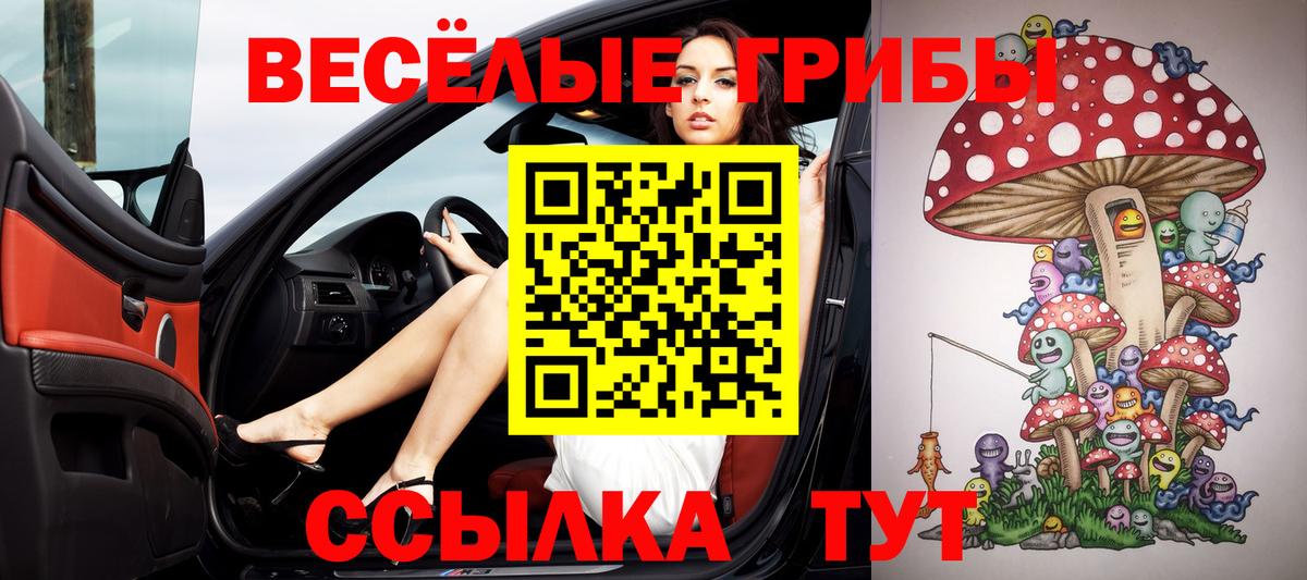 Галлюциногенные грибы ЛСД  где можно купить   Галлюциногенные грибы MAGIC MUSHROOMS  Дербент  Вход с VPN 
